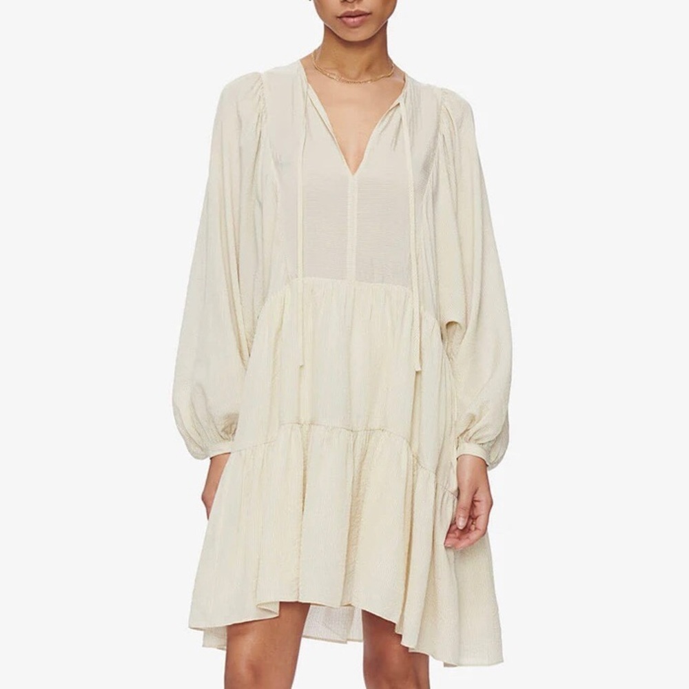 NWT Anine Bing Madison Pinstripe Dress